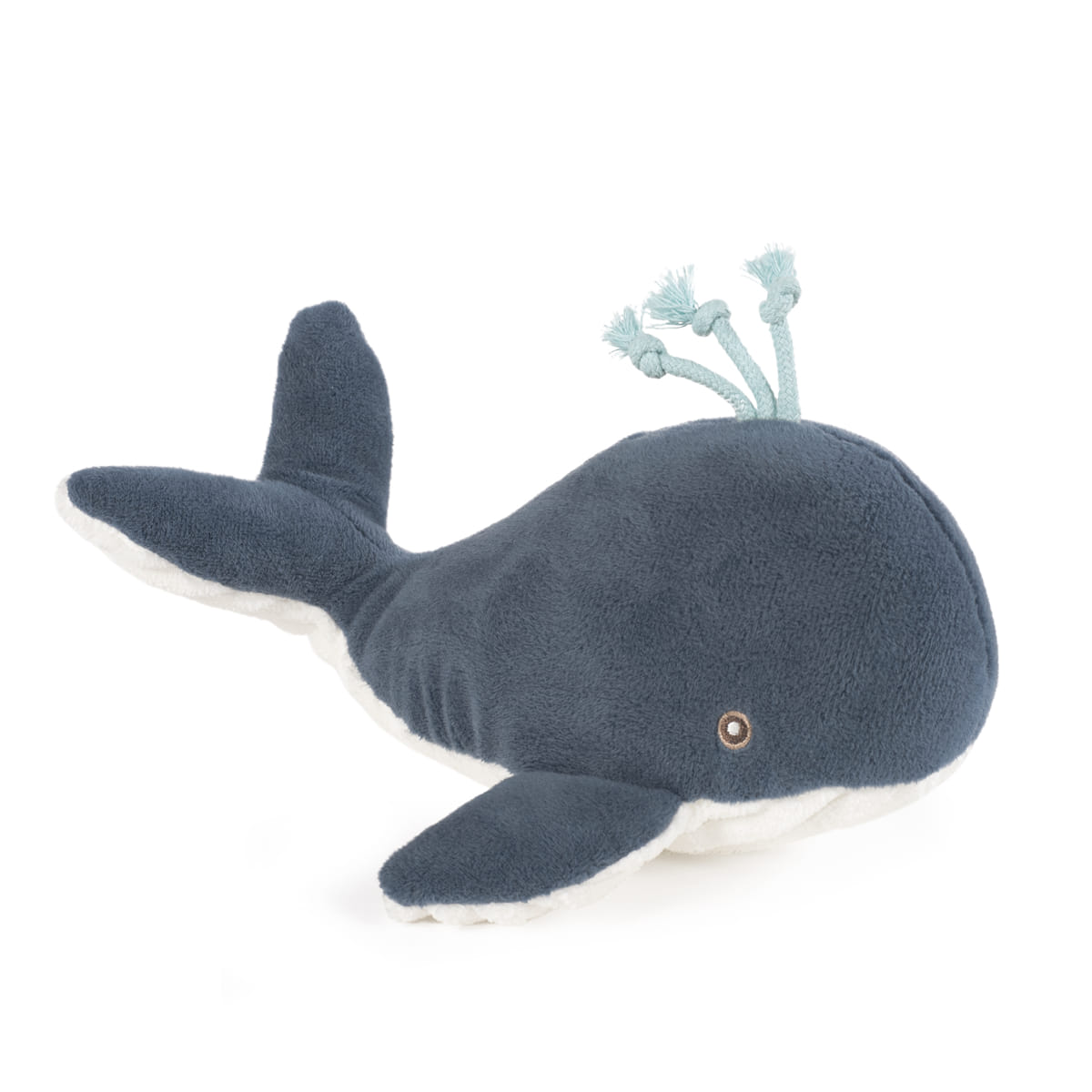 Ballena Nico