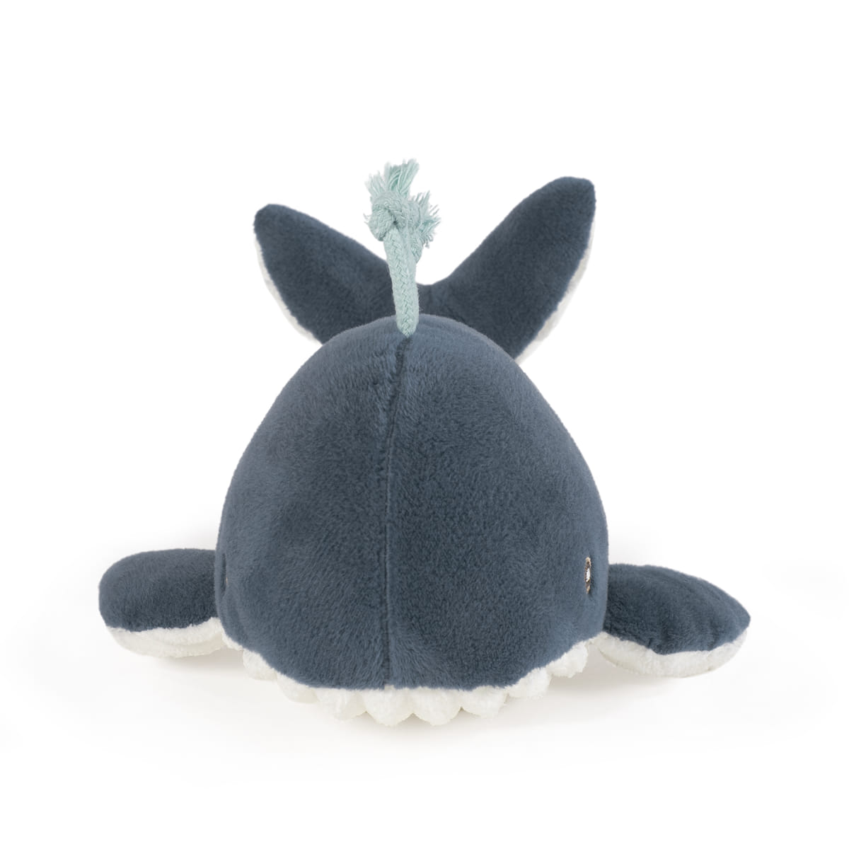 Ballena Nico