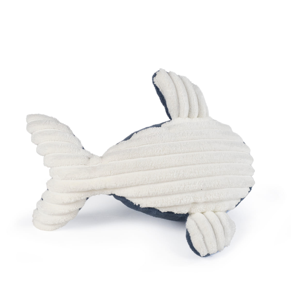 Ballena Nico