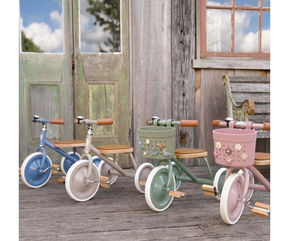 Patinete Banwood Eco con Cesta Pin & Ride Dusty Rose y Pines Flores