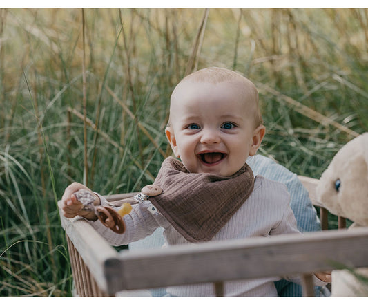 Secababitas BIBS Dark Oak