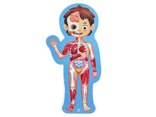 Puzzle Cuerpo Humano